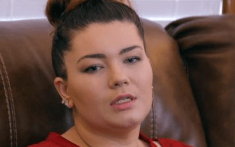 Amber Portwood Slammed By Co-star