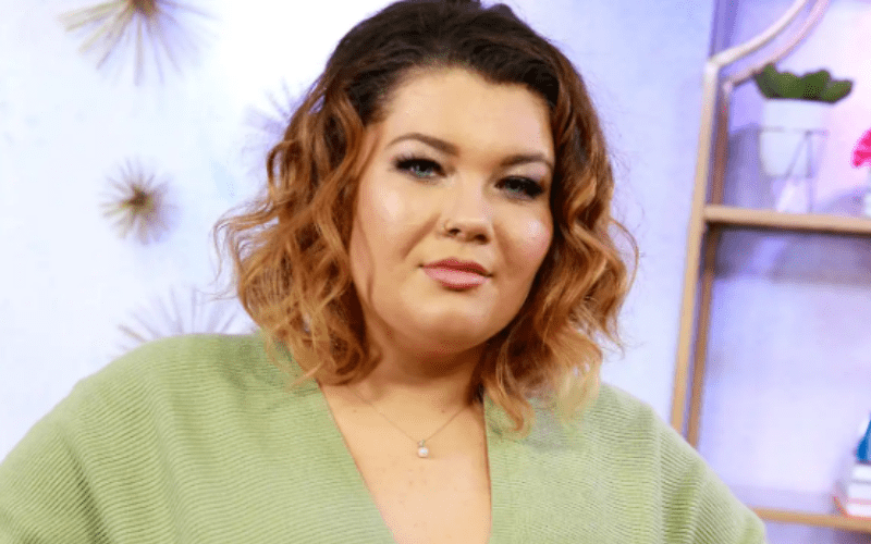 Amber Portwood Looks Stunning In New Photo