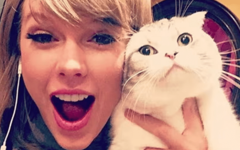 Taylor Swift’s Cat Is Crazy Rich